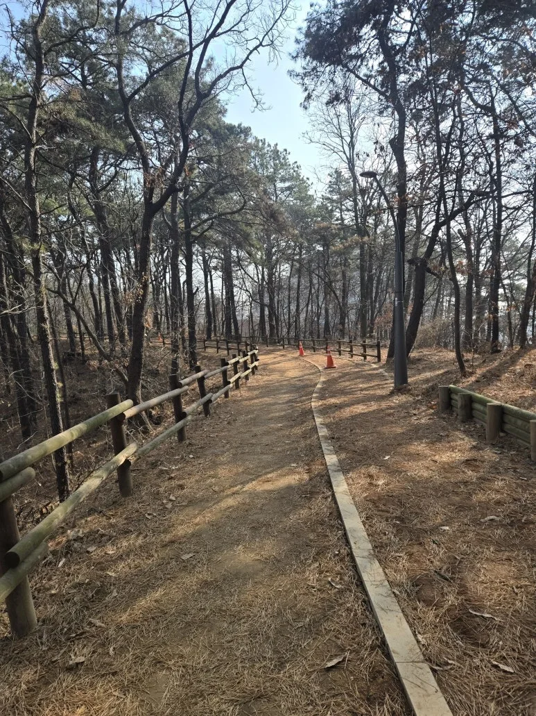 KakaoTalk_20260117_162442297_03.jpg?type=w773