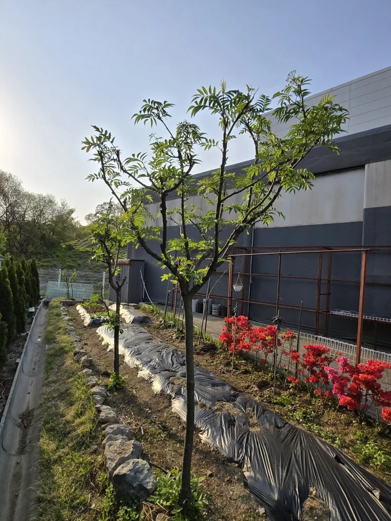 KakaoTalk_20250427_123712835_17.jpg?type=w773