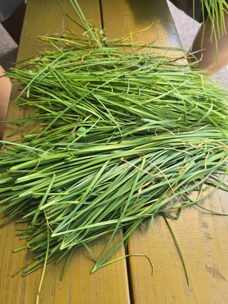 KakaoTalk_20250727_173346412_02.jpg?type=w773