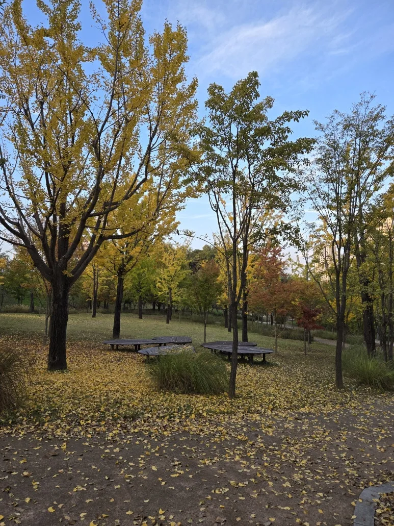 KakaoTalk_20241104_210651506_19.jpg?type=w773