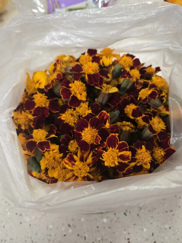 KakaoTalk_20251115_171835722_03.jpg?type=w773