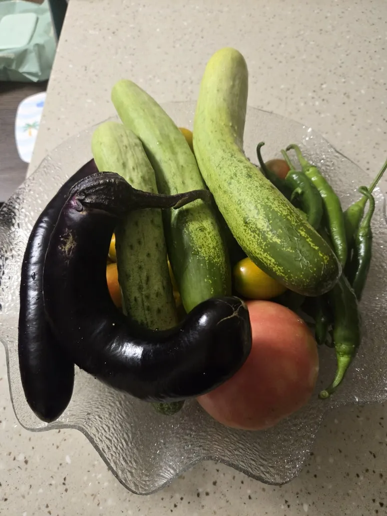 KakaoTalk_20250727_173346412_14.jpg?type=w773