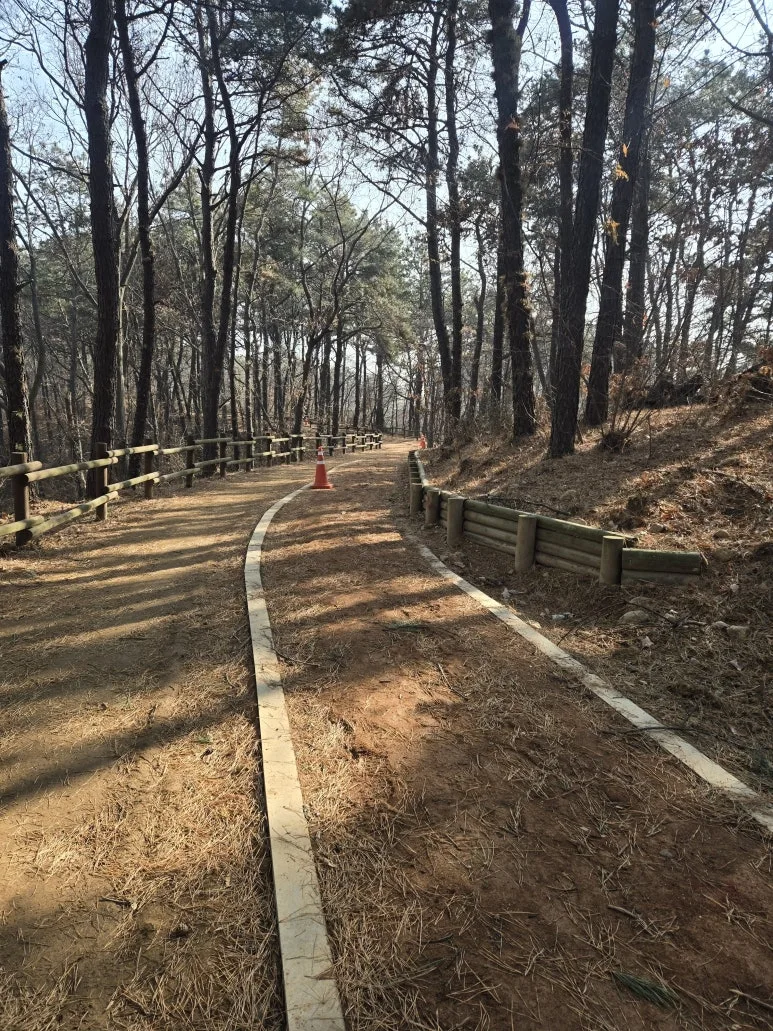 KakaoTalk_20260117_162442297_02.jpg?type=w773