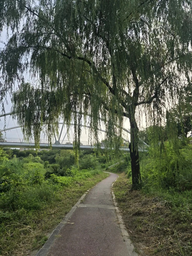 KakaoTalk_20250825_094207698.jpg?type=w773