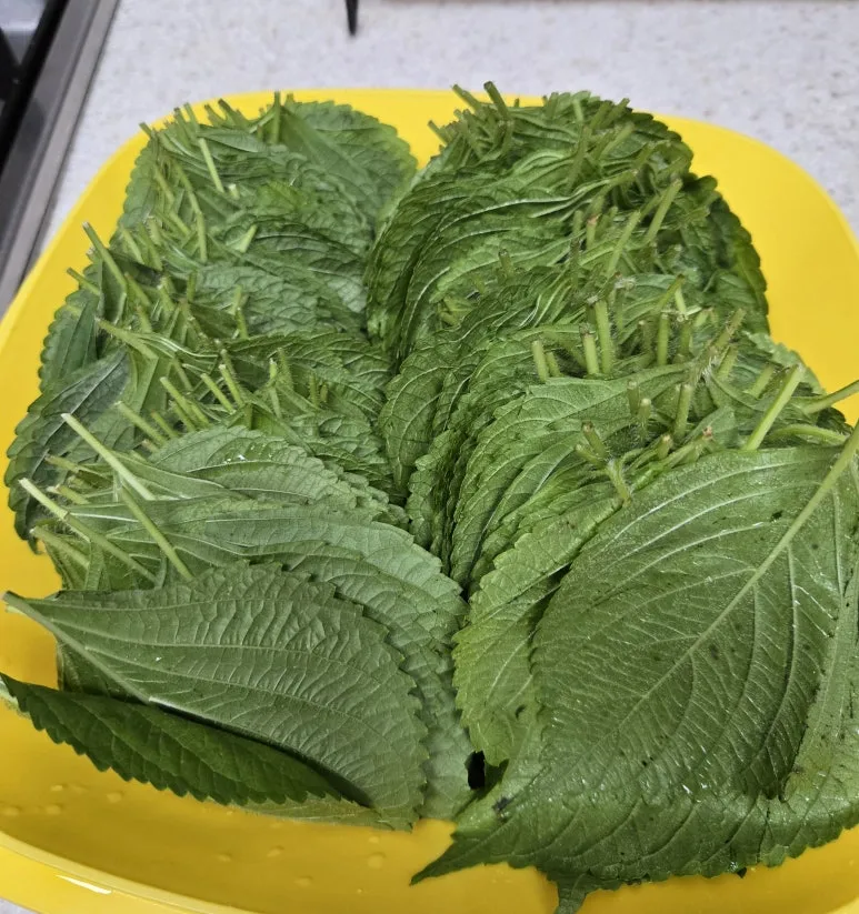 KakaoTalk_20240914_202247772_27.jpg?type=w773