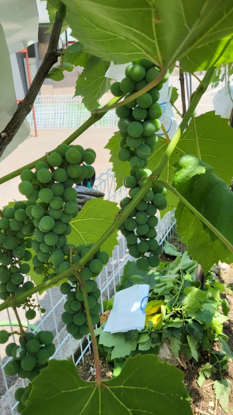 KakaoTalk_20240630_143321130_02.jpg?type=w773