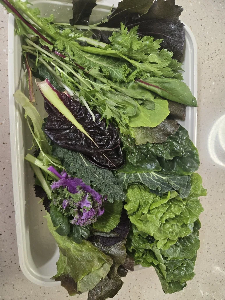 KakaoTalk_20250207_094227478_02.jpg?type=w773