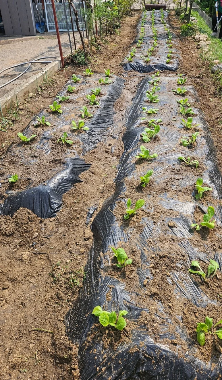 SE-0c11cb14-2083-49e3-a699-5b040596b127.jpg?type=w773