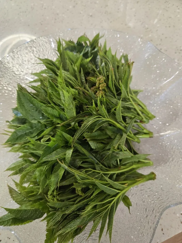 KakaoTalk_20250427_123918827_07.jpg?type=w773