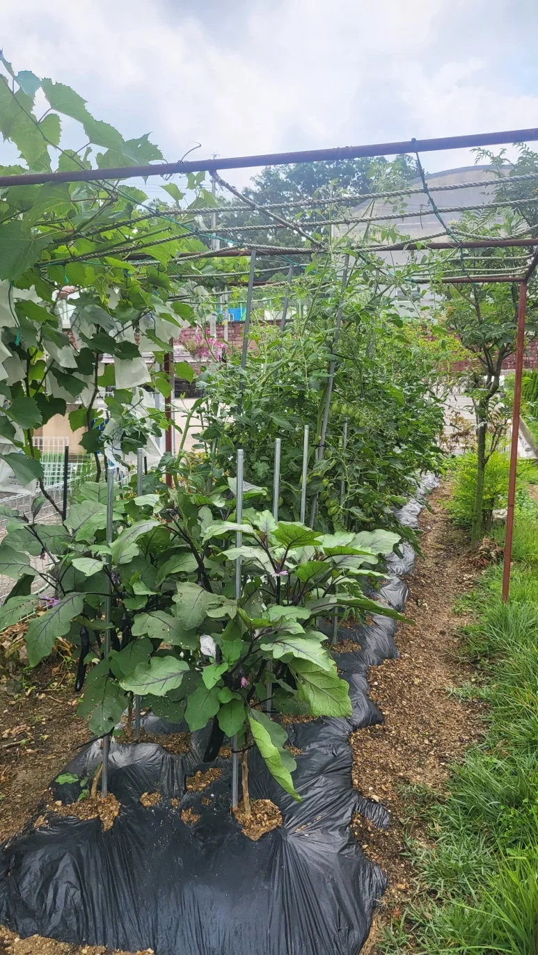 KakaoTalk_20240630_140810350_23.jpg?type=w773