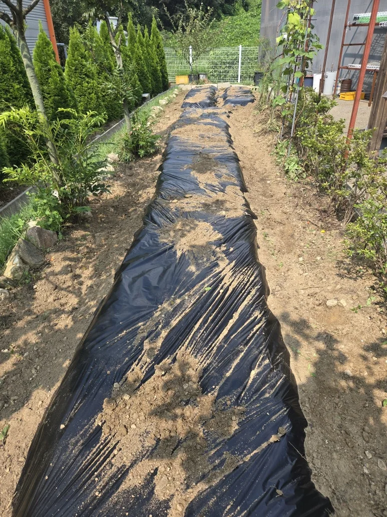 KakaoTalk_20250831_200757766_15.jpg?type=w773