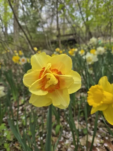 KakaoTalk_20250423_090648360.jpg?type=w386