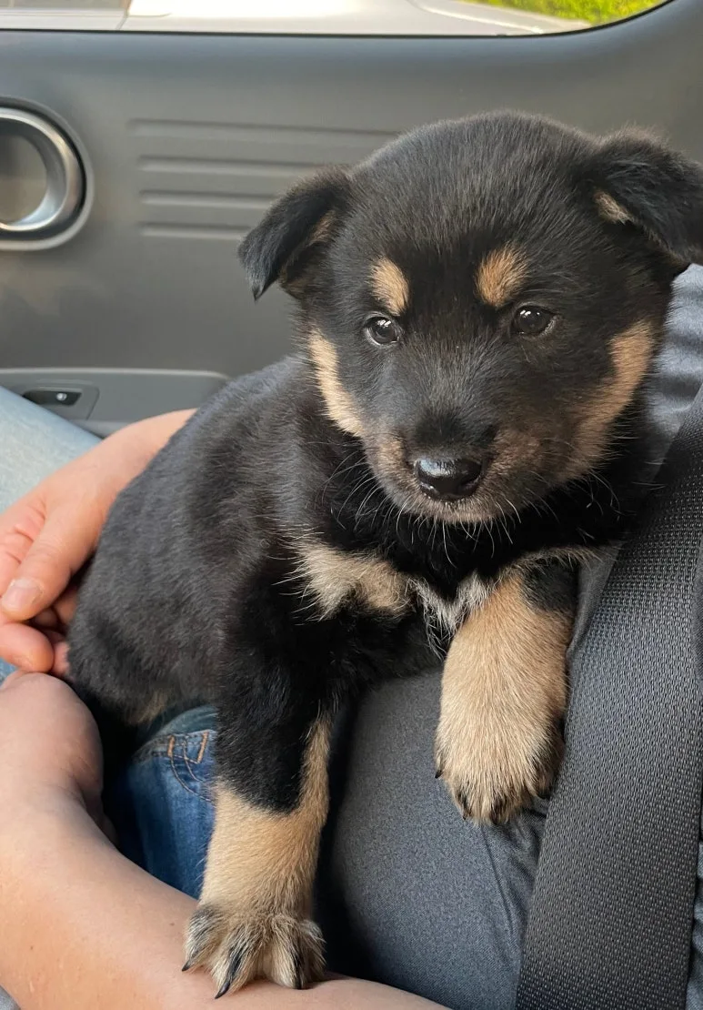 SE-8d2970f1-8744-4ceb-89a3-ca20674b52fb.jpg?type=w773