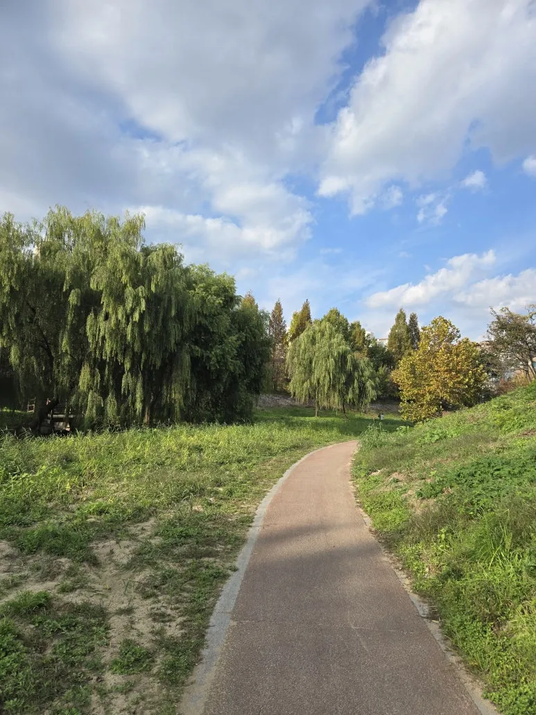 KakaoTalk_20241104_210651506.jpg?type=w773