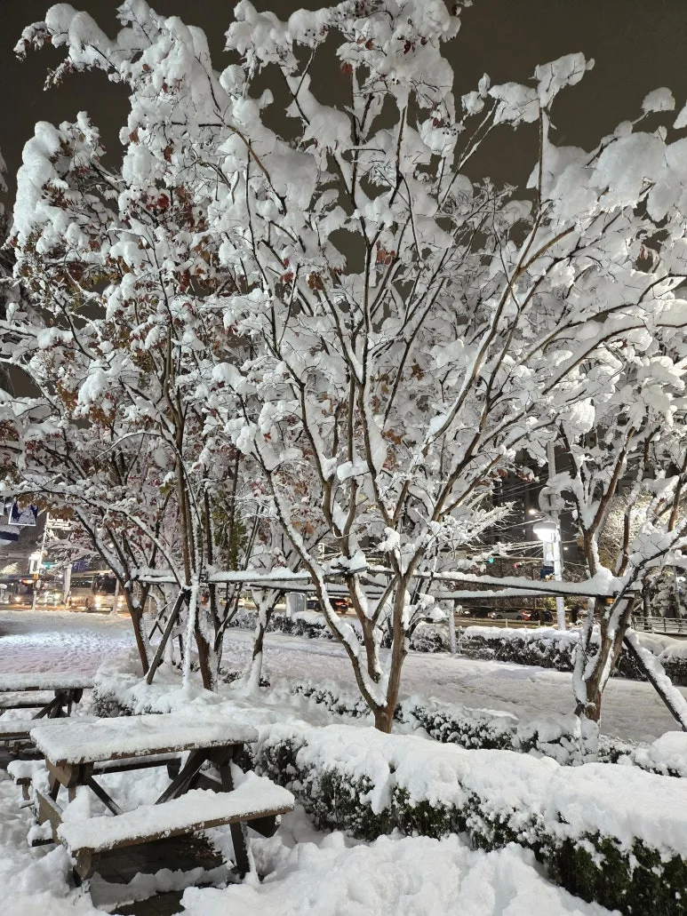 KakaoTalk_20241127_231223144_06.jpg?type=w773