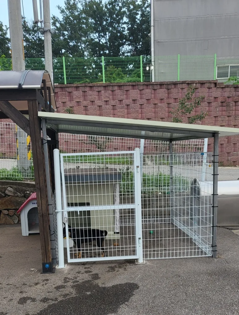 SE-22d7f859-f03b-460b-983e-02b98ab8fd2c.jpg?type=w773