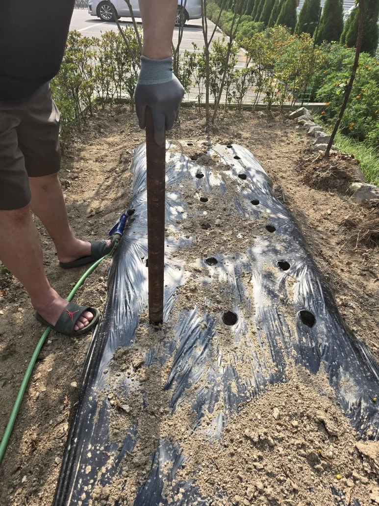 KakaoTalk_20240901_161751646.jpg?type=w773