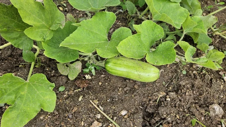 KakaoTalk_20240630_140727185_05.jpg?type=w773