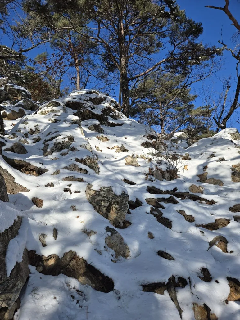 KakaoTalk_20250203_120903483_09.jpg?type=w773