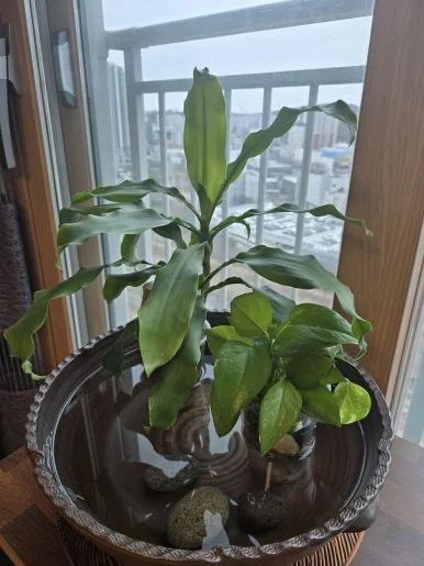 KakaoTalk_20250305_100452078.jpg?type=w386