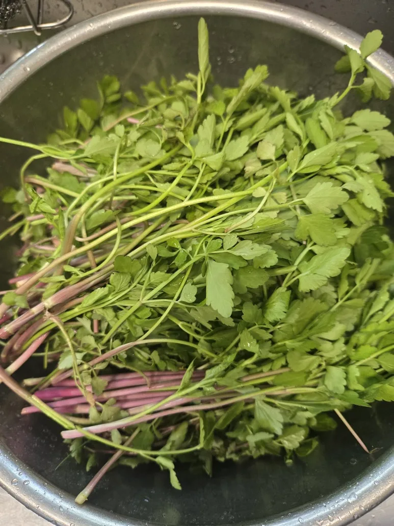 KakaoTalk_20250427_123712835_13.jpg?type=w773