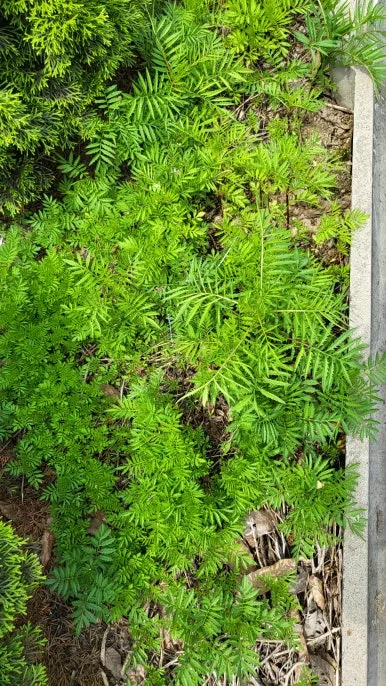 KakaoTalk_20240609_165820824_06.jpg?type=w386