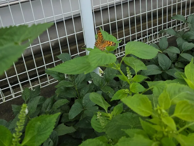 SE-22bad270-b2c9-4665-beac-6e6d32c3f0d8.jpg?type=w773