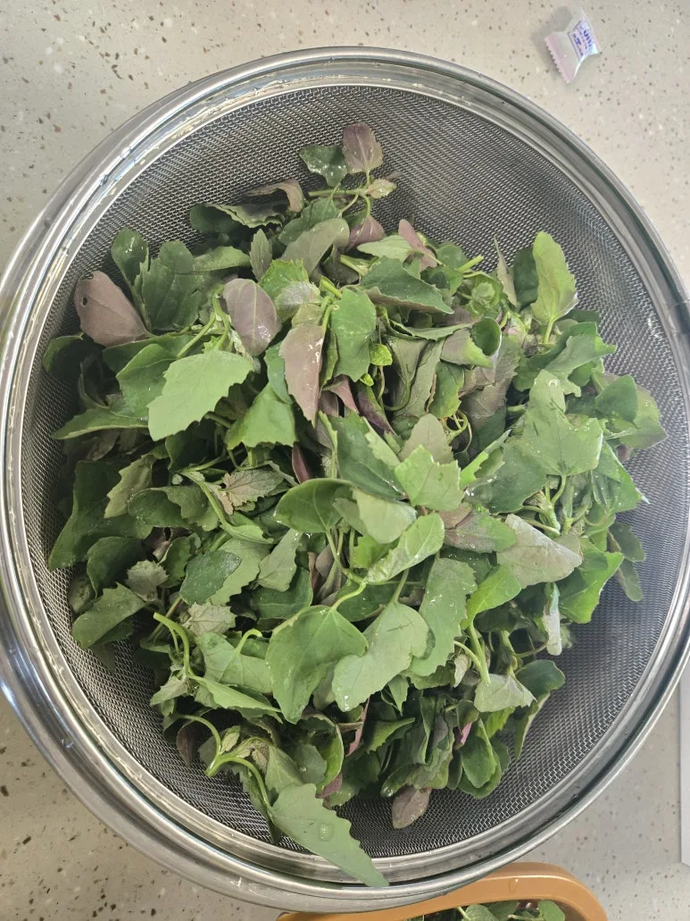 KakaoTalk_20250427_123712835_05.jpg?type=w773