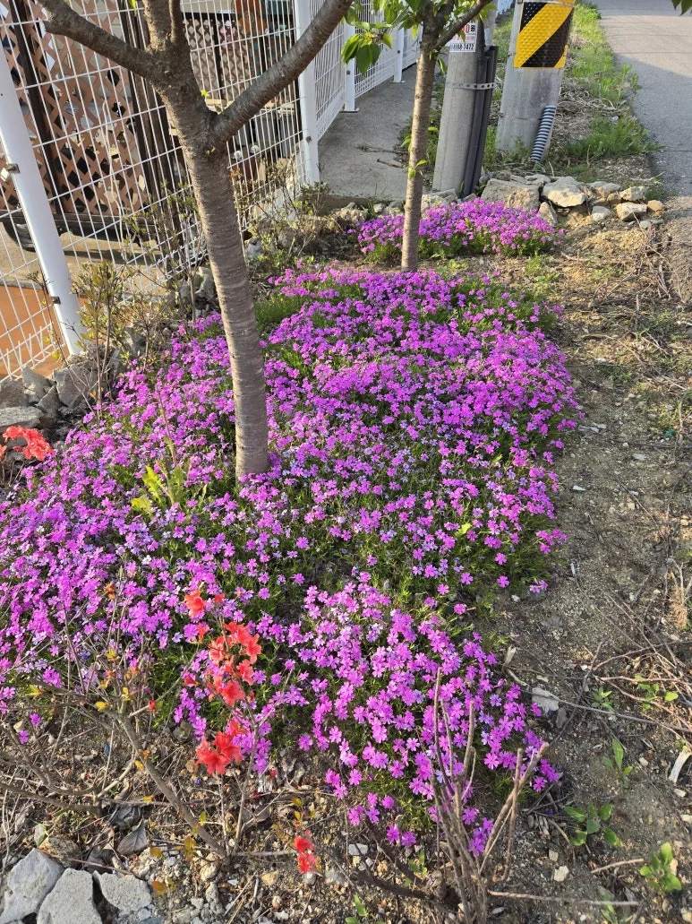 KakaoTalk_20250427_123712835_16.jpg?type=w773