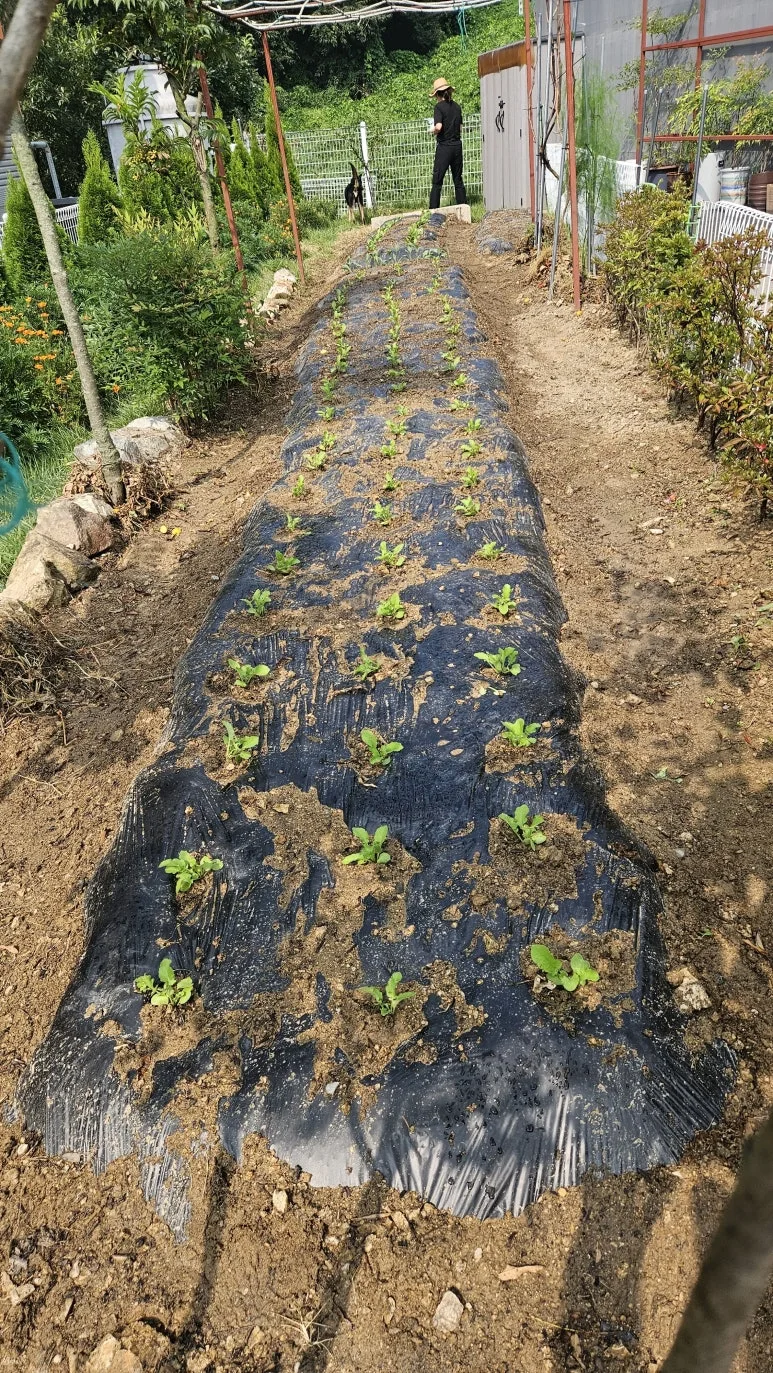 KakaoTalk_20240901_161852965_05.jpg?type=w773