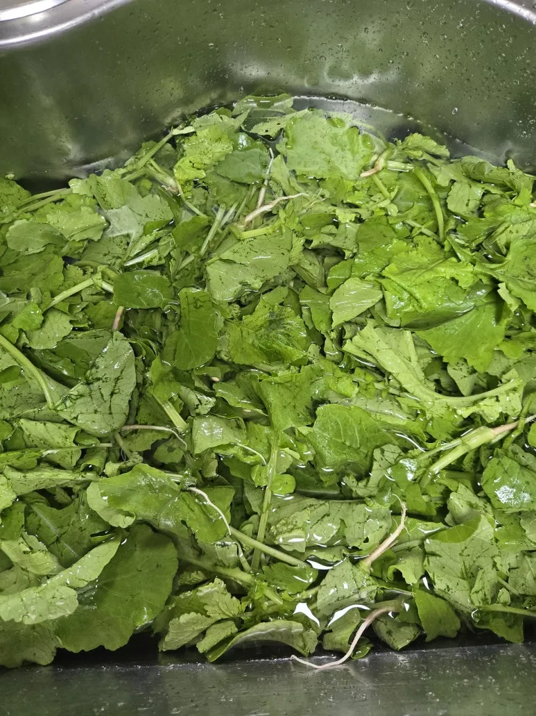 KakaoTalk_20240914_202247772_01.jpg?type=w773