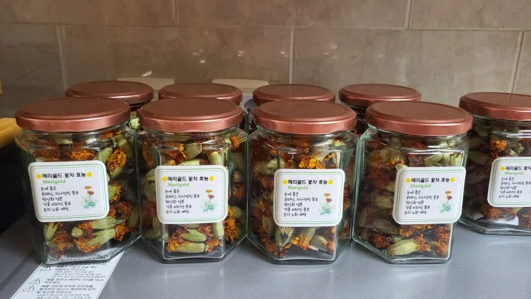 KakaoTalk_20240609_175903152.jpg?type=w773