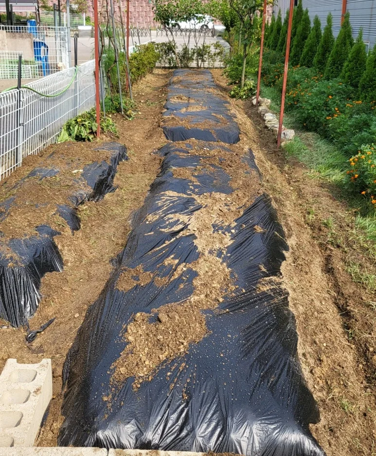 SE-a21d5f5c-a05b-4882-9c19-c75498e0b4ec.jpg?type=w773