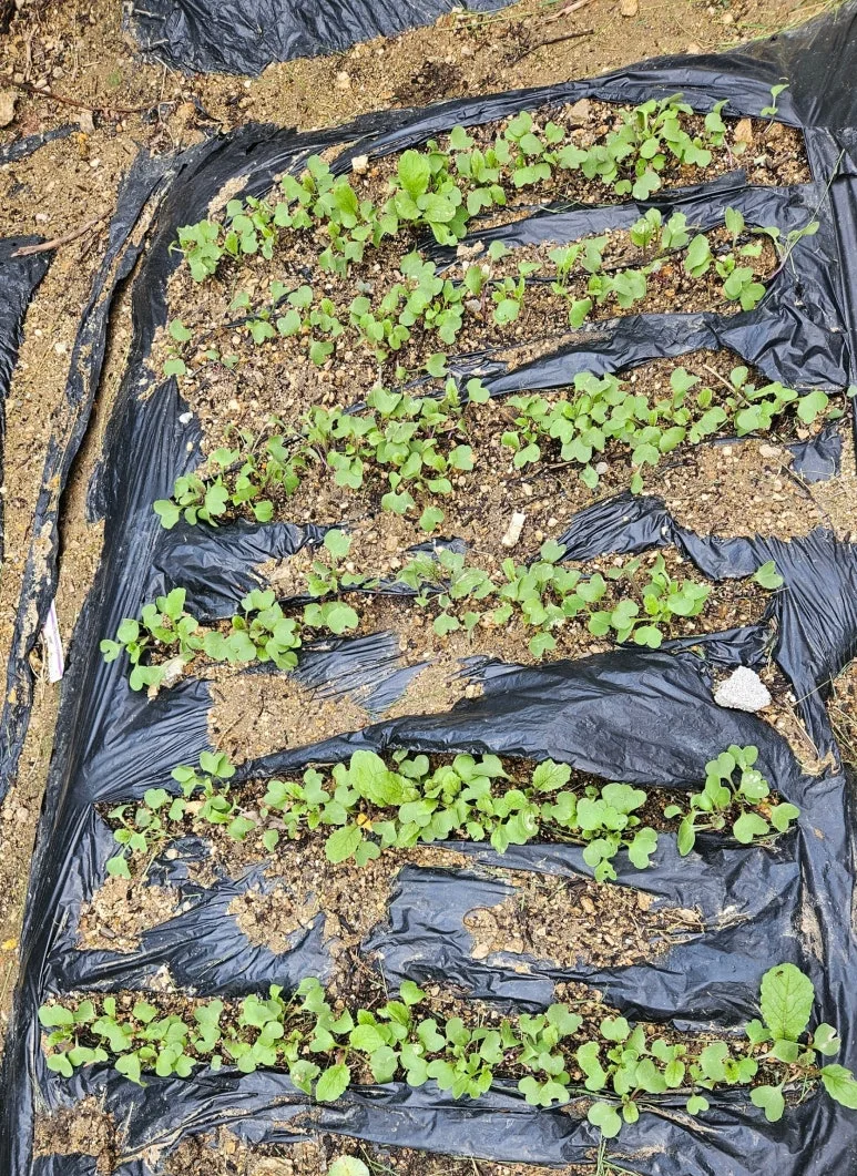 SE-3ef30bbe-04c2-45d3-b49f-f0fc9f0573a8.jpg?type=w773