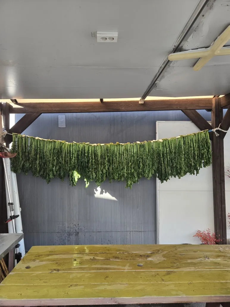 KakaoTalk_20251115_164541505_09.jpg?type=w773