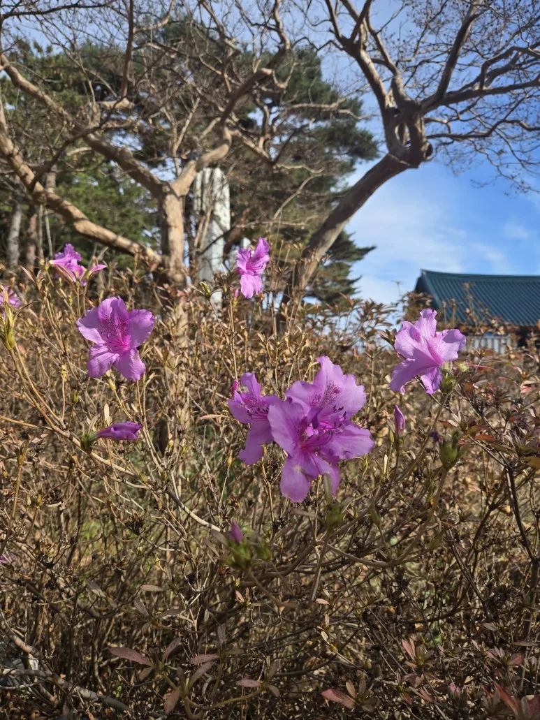 KakaoTalk_20241119_211309052_13.jpg?type=w773