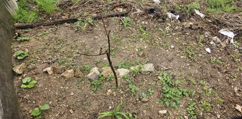 KakaoTalk_20250503_112747067_02.jpg?type=w773