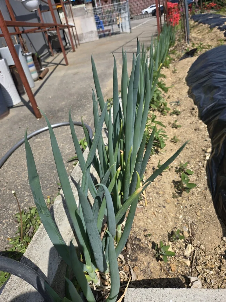 KakaoTalk_20250427_123712835_28.jpg?type=w773