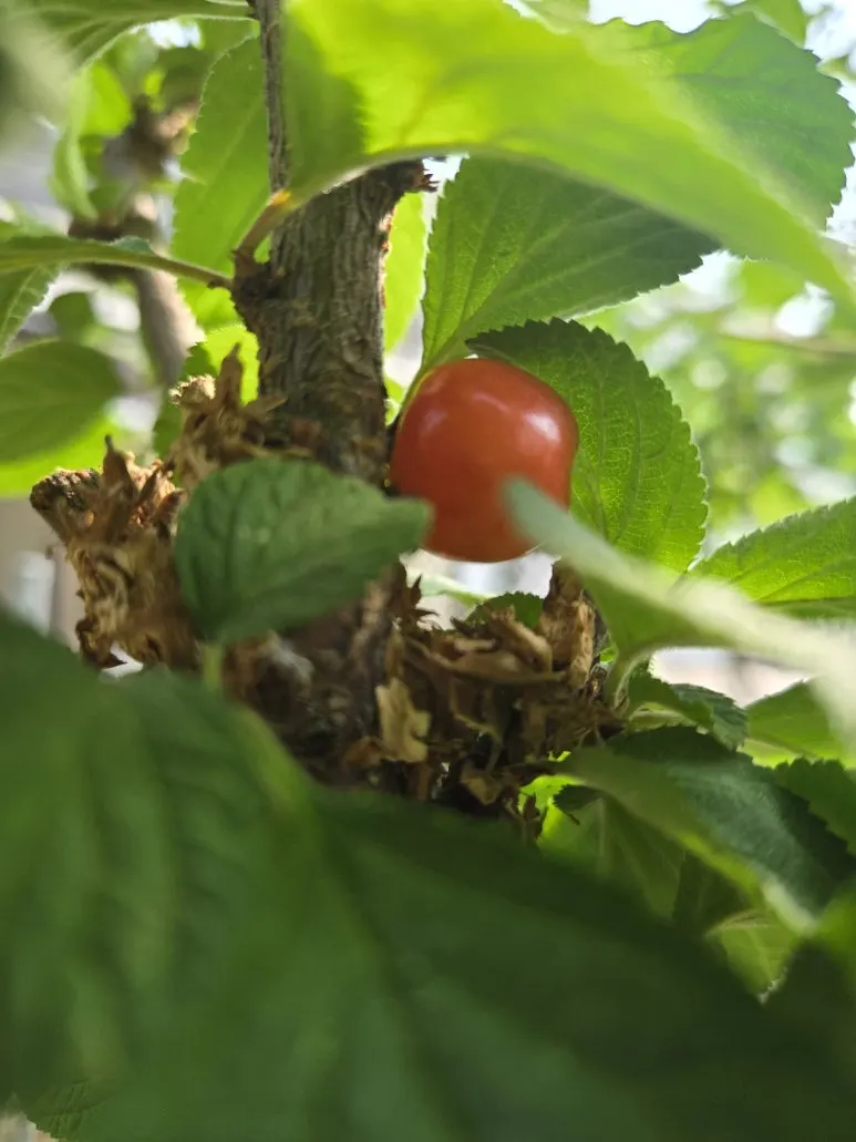 KakaoTalk_20250608_162424505.jpg?type=w773