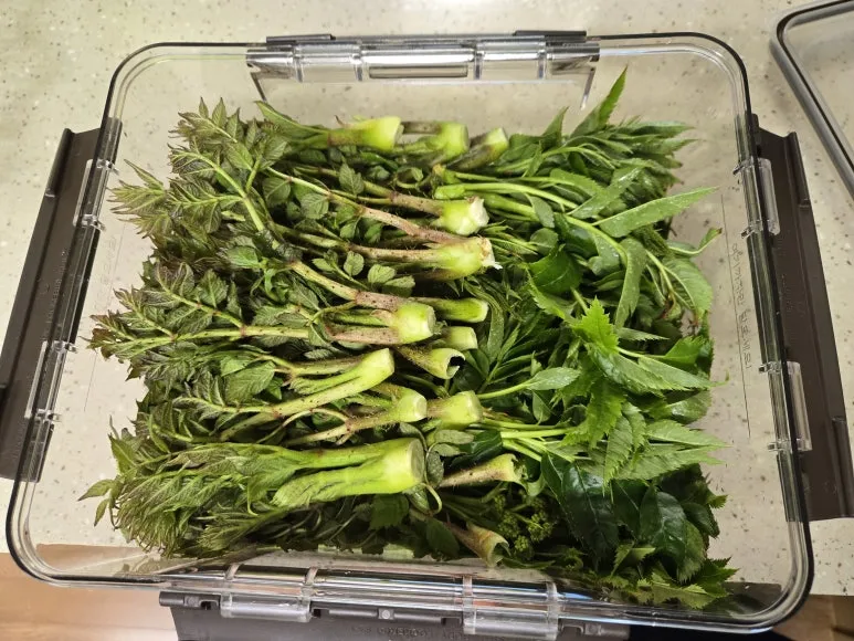 KakaoTalk_20250427_123918827_05.jpg?type=w773