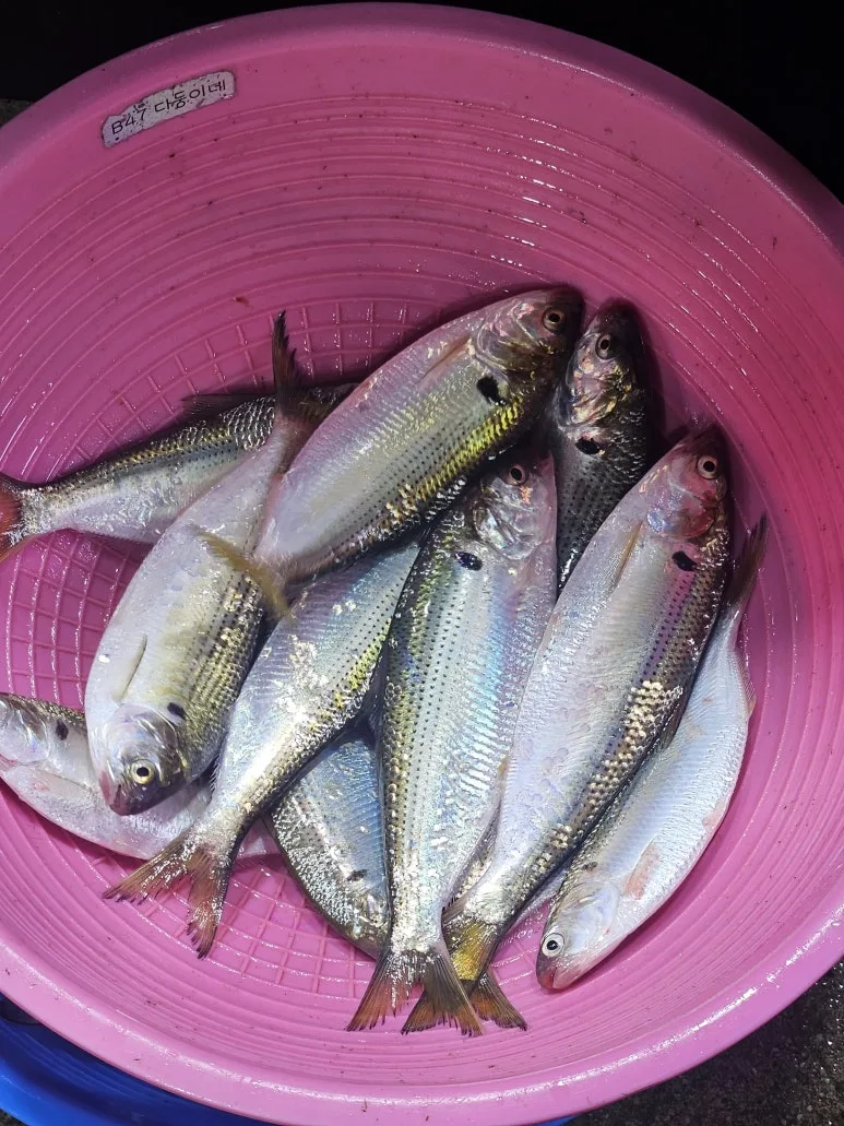 KakaoTalk_20240915_185758991_04.jpg?type=w773