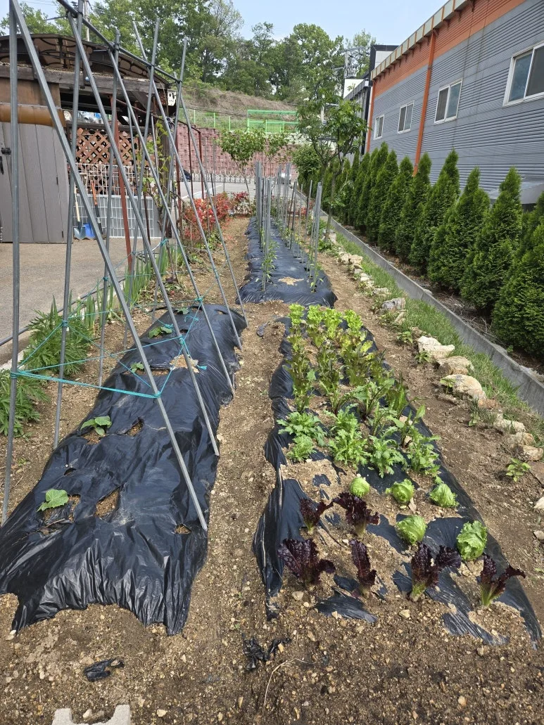 KakaoTalk_20250511_212312837_15.jpg?type=w773