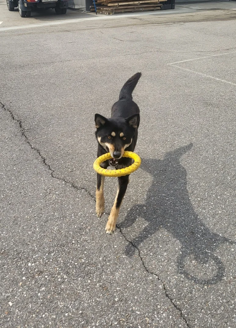 SE-9a1a67a6-bf83-4f7d-aa9a-443534233e64.jpg?type=w773