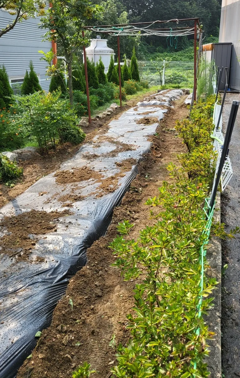 SE-5c2f3037-f558-4ed5-9246-a410f0b6e8e8.jpg?type=w773