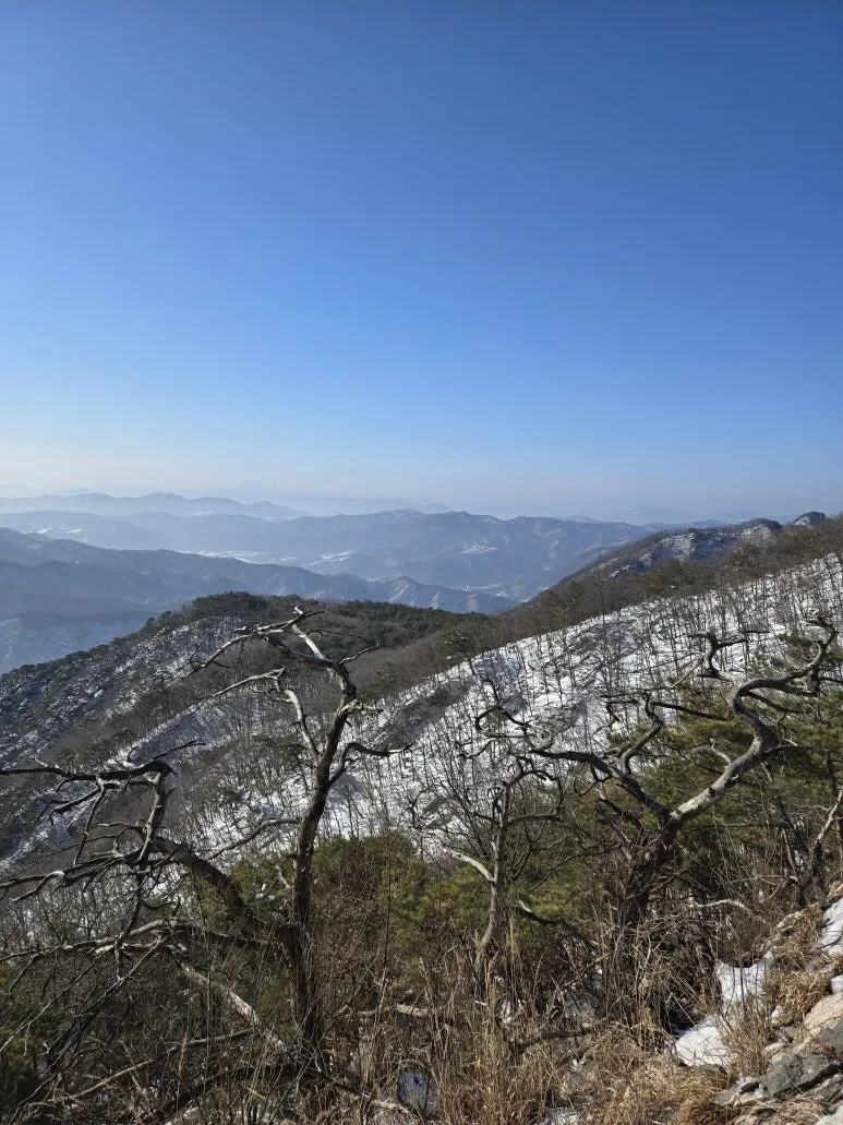 KakaoTalk_20250203_120903483_08.jpg?type=w773