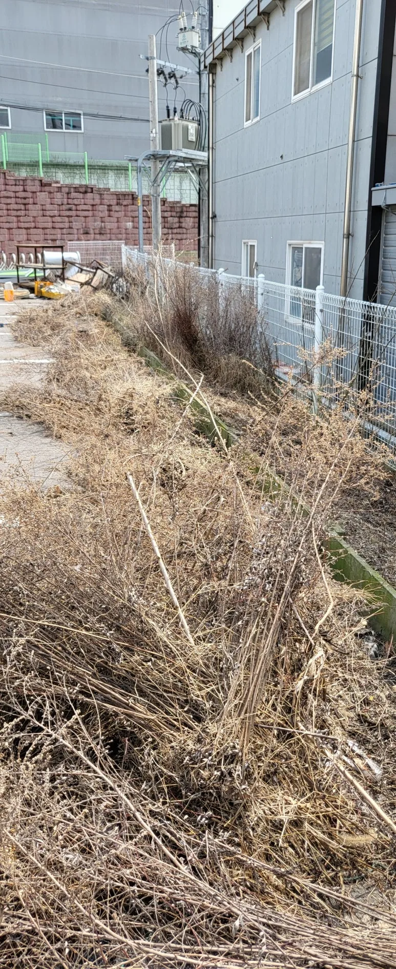 KakaoTalk_20240602_143823158.jpg?type=w773