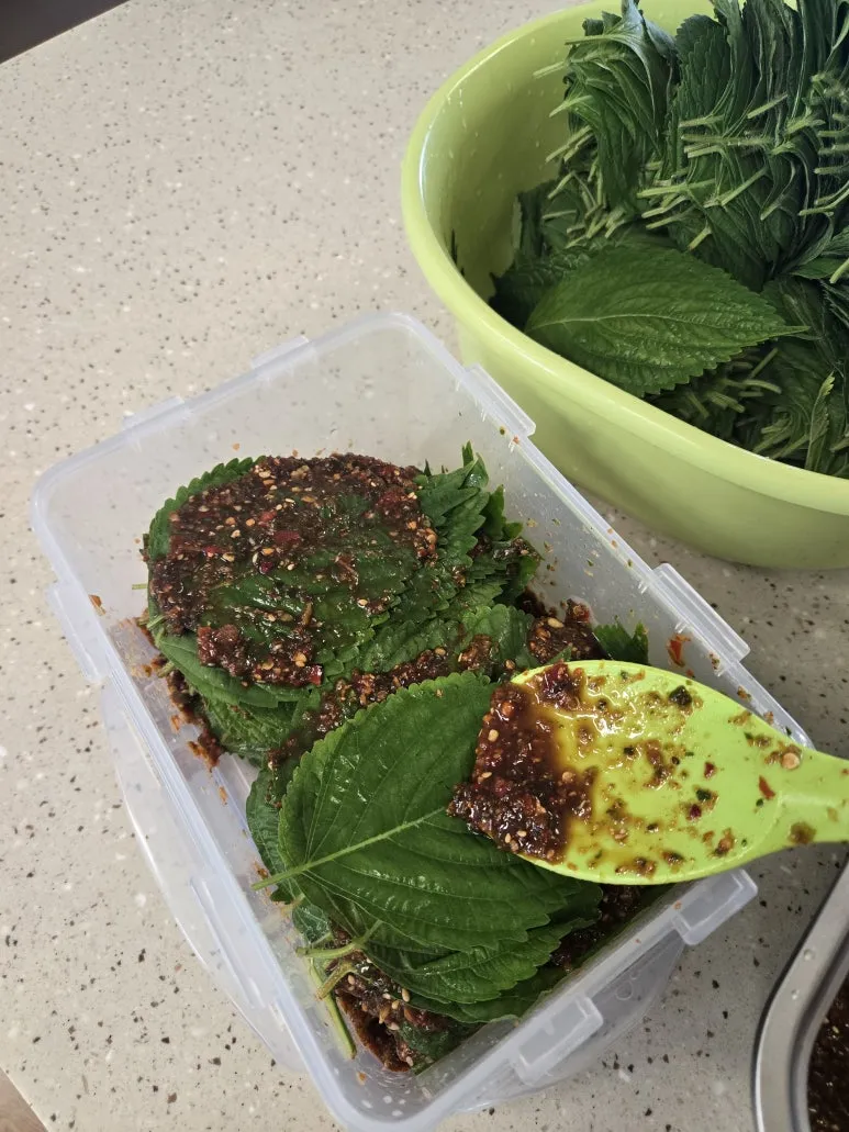 KakaoTalk_20250706_155758685_06.jpg?type=w773