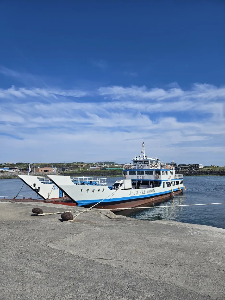 KakaoTalk_20250612_210727999_19.jpg?type=w1