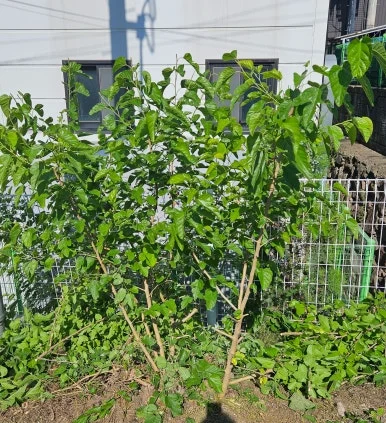 SE-42e07a43-4c70-426a-8e9e-6a8c6fb78667.jpg?type=w386