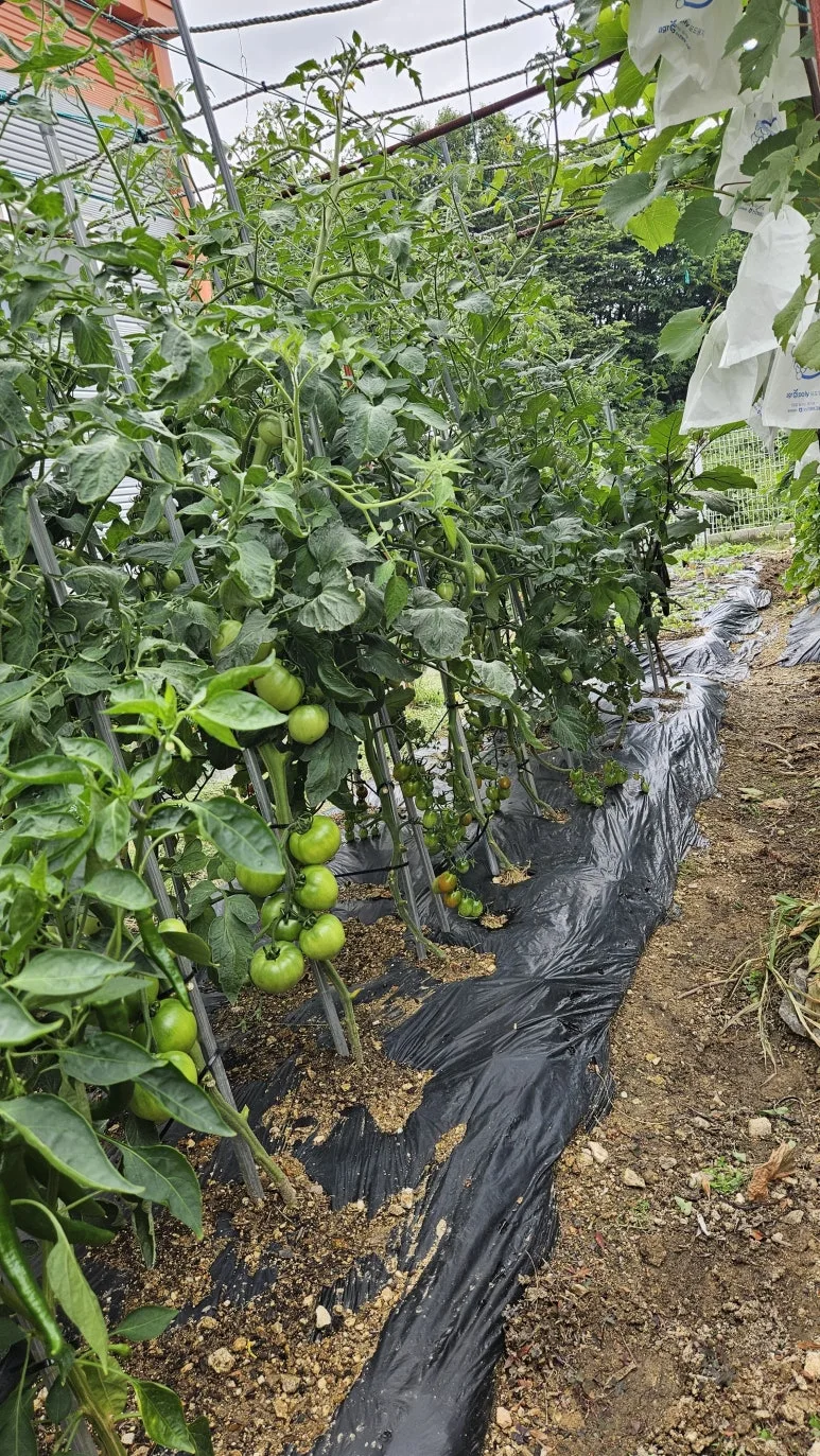 KakaoTalk_20240630_140727185_04.jpg?type=w773